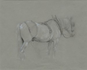 Carthorse in Harness