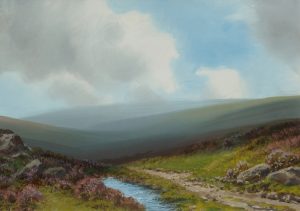 A Moorland Stream