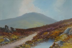 Near Postbridge, Dartmoor