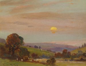 Evening Rural Scene