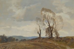 Ploughed Field