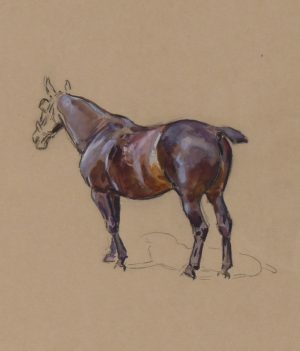 Study of a Horse