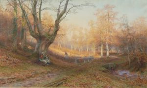Heart of the Forest, Burnham Beeches, Buckinghamshire