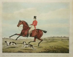 Ware Horse Dash these hot horses