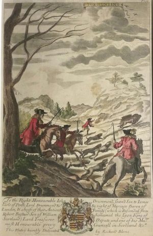 Fox Hunting