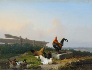 Poultry in Landscapes