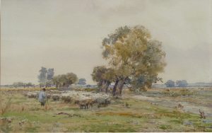 Shepherd & Flock