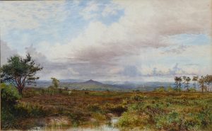 Cronksham, Frensham Common