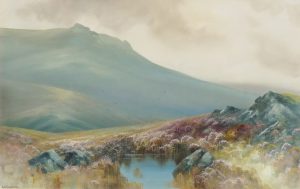 A Dartmoor Tor