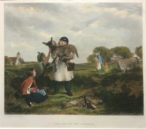 The Pet of the Common (donkey)