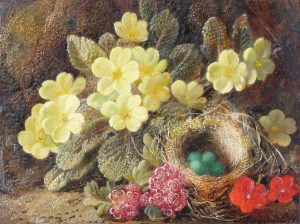 Still Life - Primroses & Nest