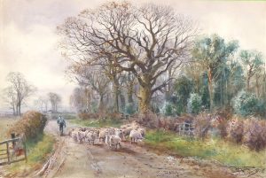 Royal Common, Milford, Surrey