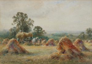A Sussex Cornfield