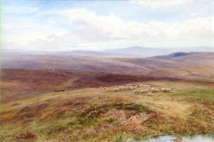 Sheep in a Moorland Landscape