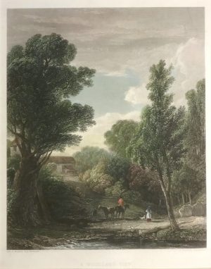 A Woodland View