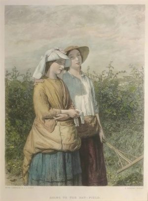 Going to the Hay-field