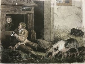 Pigs, lithograph