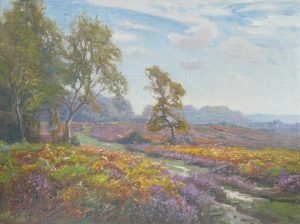 New Forest Scene