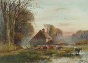 Cattle Heading to Water