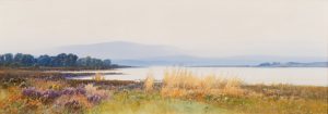 Purbeck Hills, Studland, Dorset