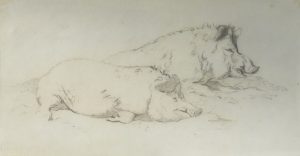 Pig and Sow
