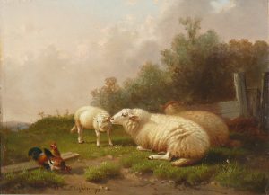 Sheep & Hens