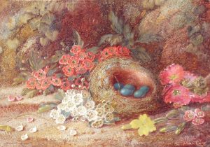 Still Life Bird’s Nest & Flowers