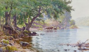 Cattle Watering