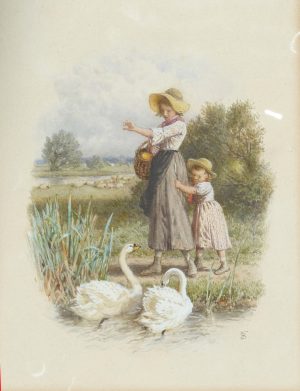Feeding the Swans