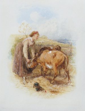 Feeding the Calves
