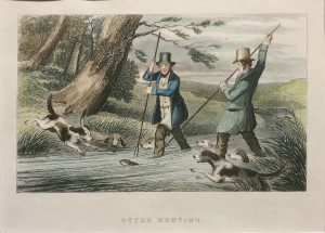 Otter Hunting