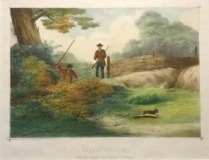 Rabbit Shooting