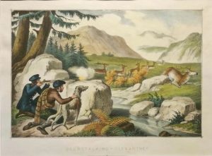 Deer Stalking - Glengartney