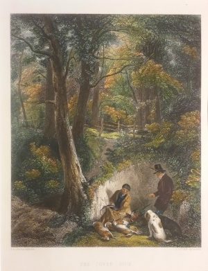 The Cover Side