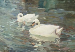 Swans on a Lake