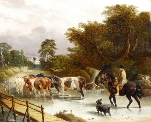 Mounted Herder & Cattle
