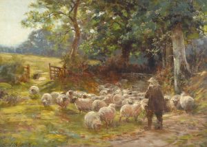 Herding Sheep