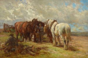 Feeding the Horses