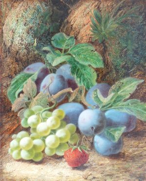 Grapes & Plums