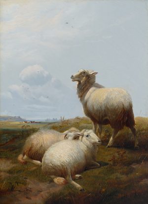 Sheep in a Landscape