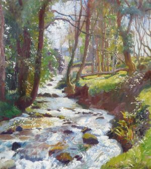 Stream at Lamorna