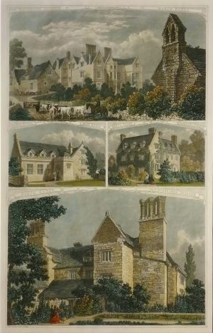 Winterborne Anderson; Bere Regis; Blandford St. Mary & Winterborne Thomson Manor Houses