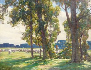 Sheep Grazing