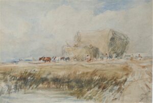 The Hayfield