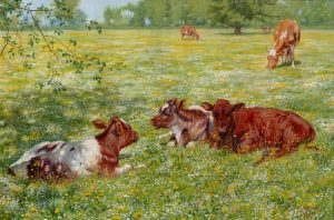 Calves in a Summer Meadow