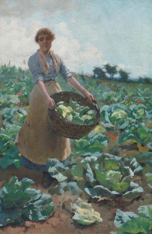 Picking Cabbages