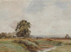 A Brockenhurst Stream