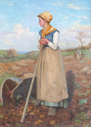 In the Fields