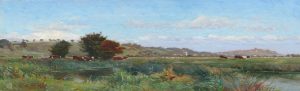 Watermeadows near Rye, Sussex