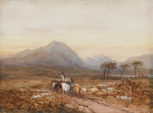 Driving Cattle below Cader Idris, Wales